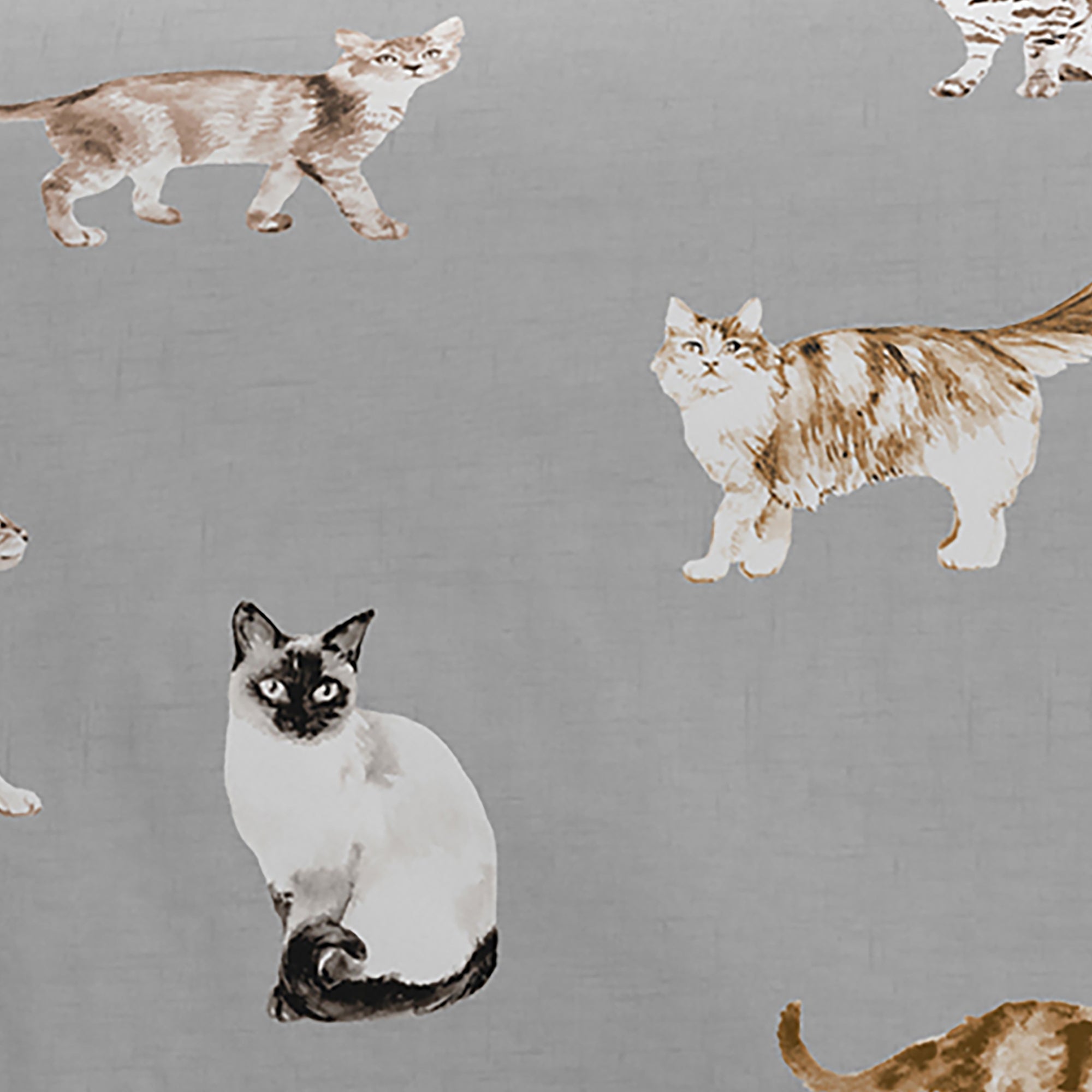 Duvet Cover Set Cats by Fusion in Grey