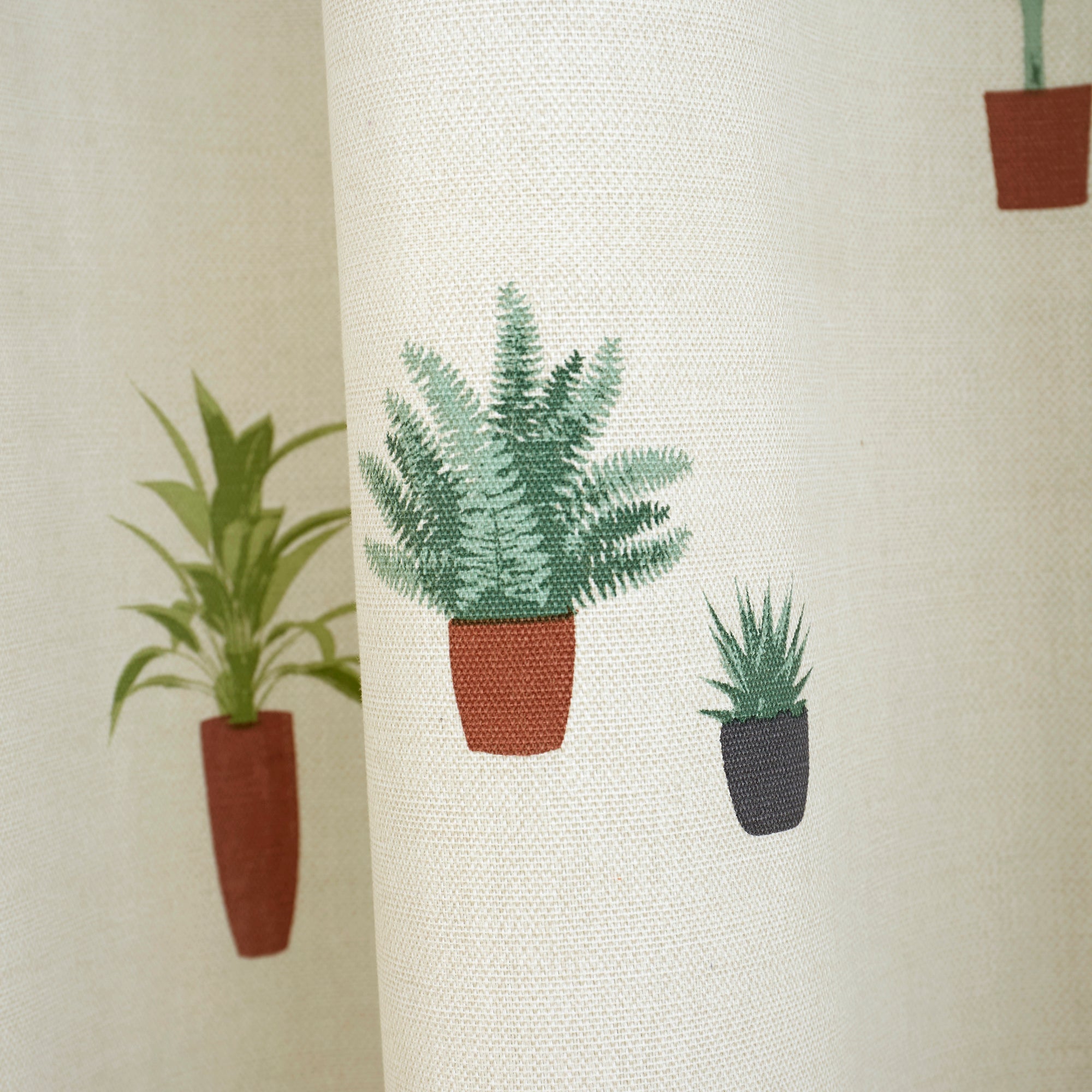 Cactus - 100% Cotton Pair of Eyelet Curtains in Multi - by Fusion