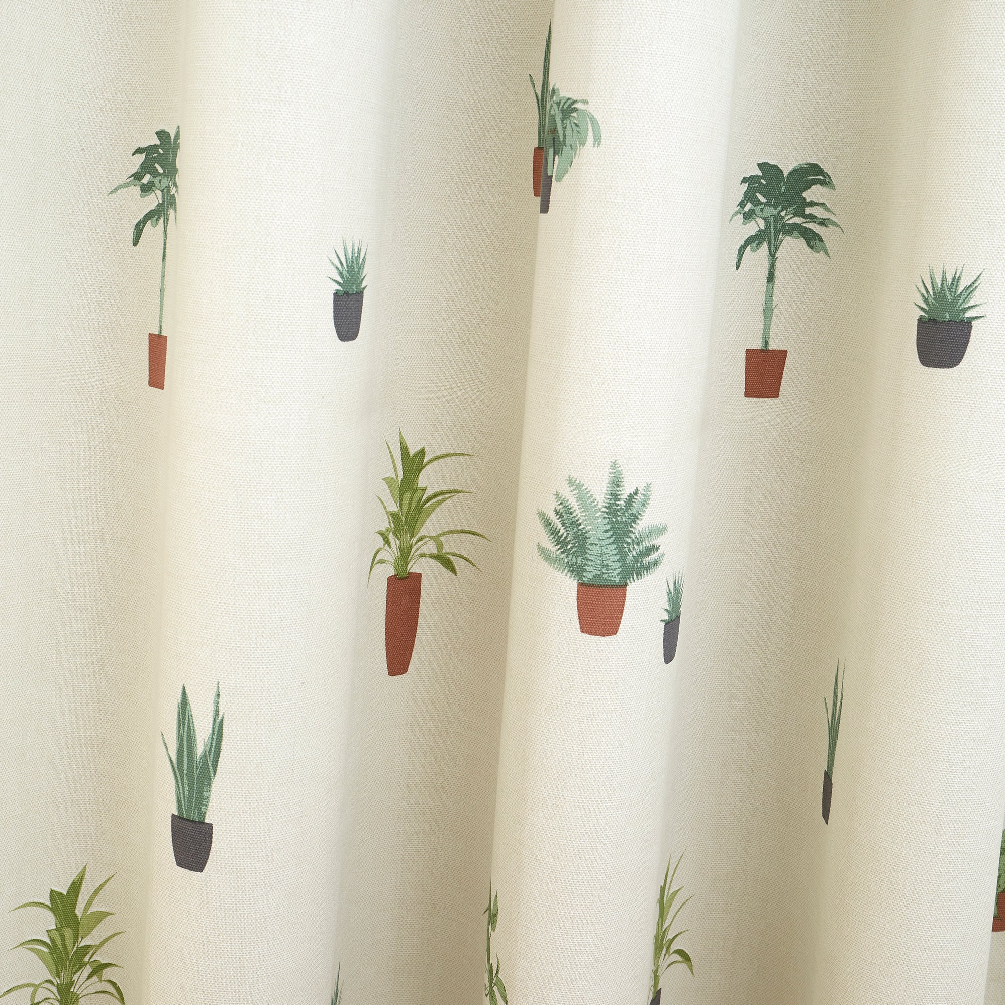 Cactus - 100% Cotton Pair of Eyelet Curtains in Multi - by Fusion